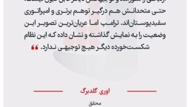 اوری گلدبرگ – محقق