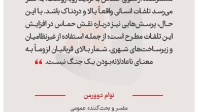 نوام دوورمن - مفسر و بحث‌کننده عمومی