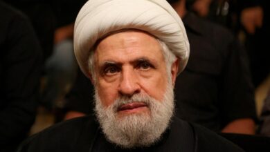 شیخ نعیم قاسم