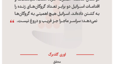 اوری گلدبرگ - محقق