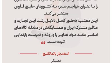 اسفندیار باتمانقلیچ - تحلیلگر