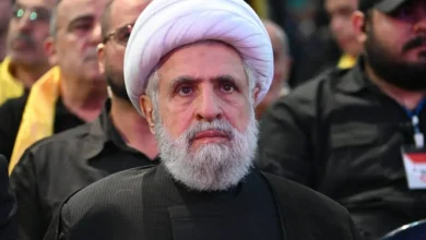 شیخ نعیم قاسم
