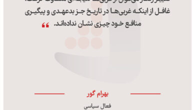 بهرام گور - فعال سیاسی