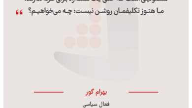 بهرام گور - فعال سیاسی