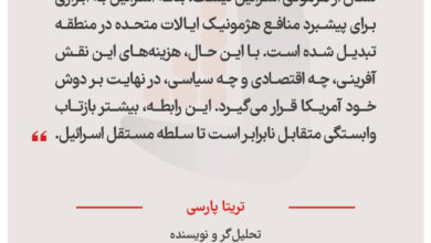 تریتا پارسی – تحلیل‌گر و نویسنده