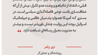 نری زیلبر – روزنامه‌نگار و تحلیل‌گر