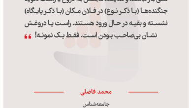 محمد فاضلی – جامعه‌شناس