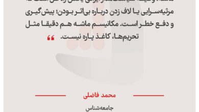 محمد فاضلی – جامعه‌شناس