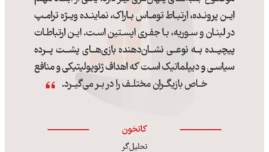 کاتخون - تحلیل‌گر