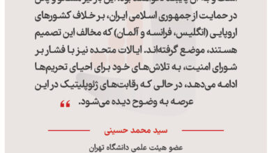 سید محمد حسینی – عضو هیئت علمی دانشگاه تهران
