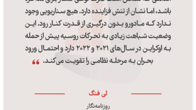 لی فنگ - روزنامه‌نگار