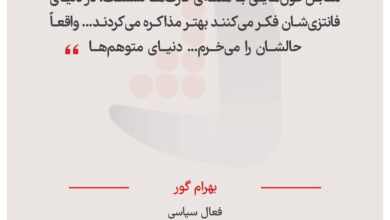 بهرام گور - فعال سیاسی
