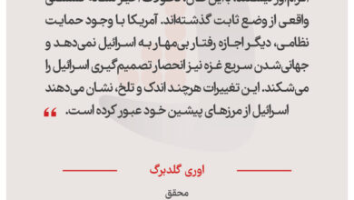 اوری گلدبرگ - محقق
