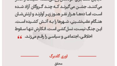 اوری گلدبرگ - محقق
