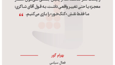 بهرام گور - فعال سیاسی