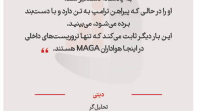دیتی  - تحلیل‌گر