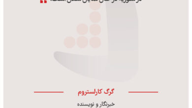 گرگ کارلستروم - خبرنگار و نویسنده