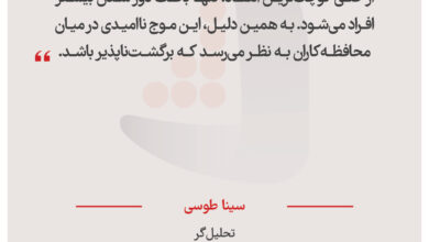 سینا طوسی – تحلیل‌گر