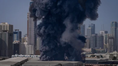 امارات متحده عربی در حال بازی در مسیر مستقل خود است