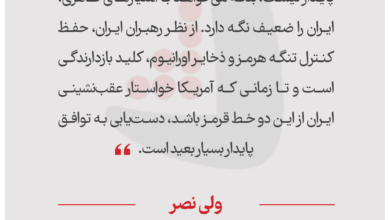 ولی نصر - کارشناس روابط بین‌الملل