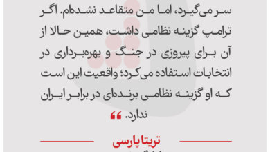 تریتا پارسی - تحلیلگر و نویسنده
