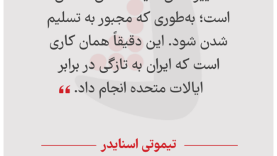 تیموتی اسنایدر - استاد دانشگاه
