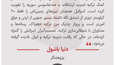 دنیا باشول - پژوهشگر