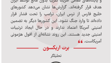 برت اریکسون - تحلیلگر