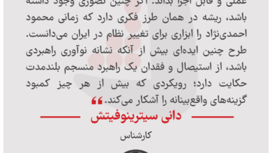 دانی سیترینوفیتش - کارشناس