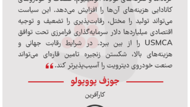 جوزف پووپولو - کارآفرین