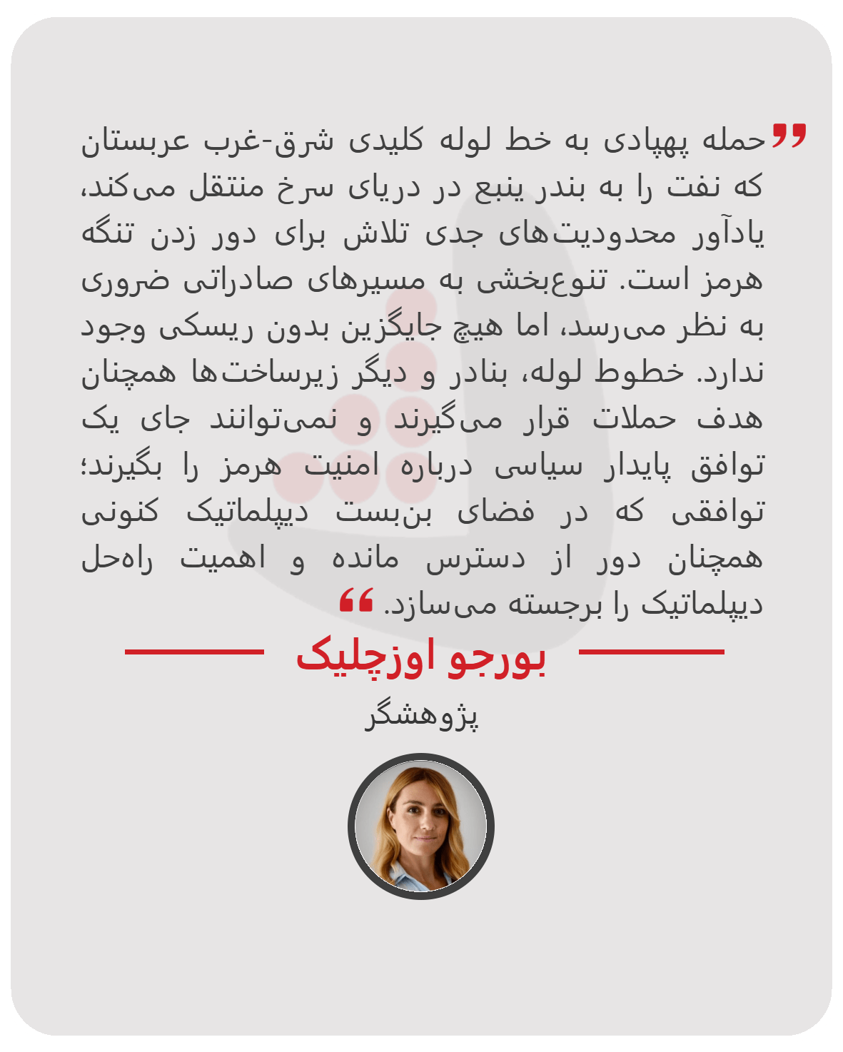 بورجو اوزچلیک - پژوهشگر