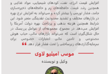 موسی امیلیو لاوی - وکیل و نویسنده