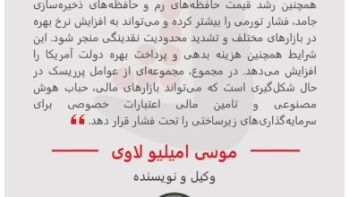 موسی امیلیو لاوی - وکیل و نویسنده