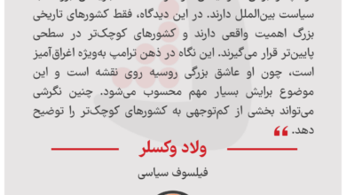 ولاد وکسلر - فیلسوف سیاسی