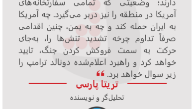 تریتا پارسی - تحلیل‌گر و نویسنده