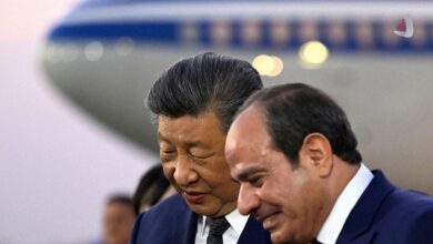 شی جین پینگ و عبدالفتاح السیسی در حال گفت وگو